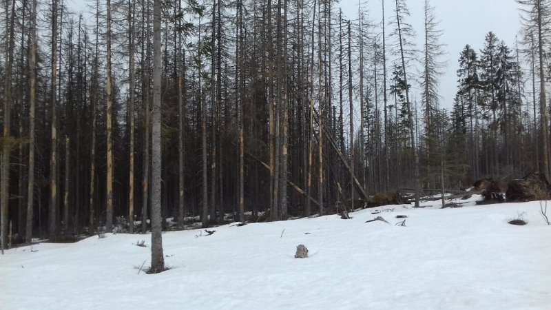 20190310_113844 01.jpg